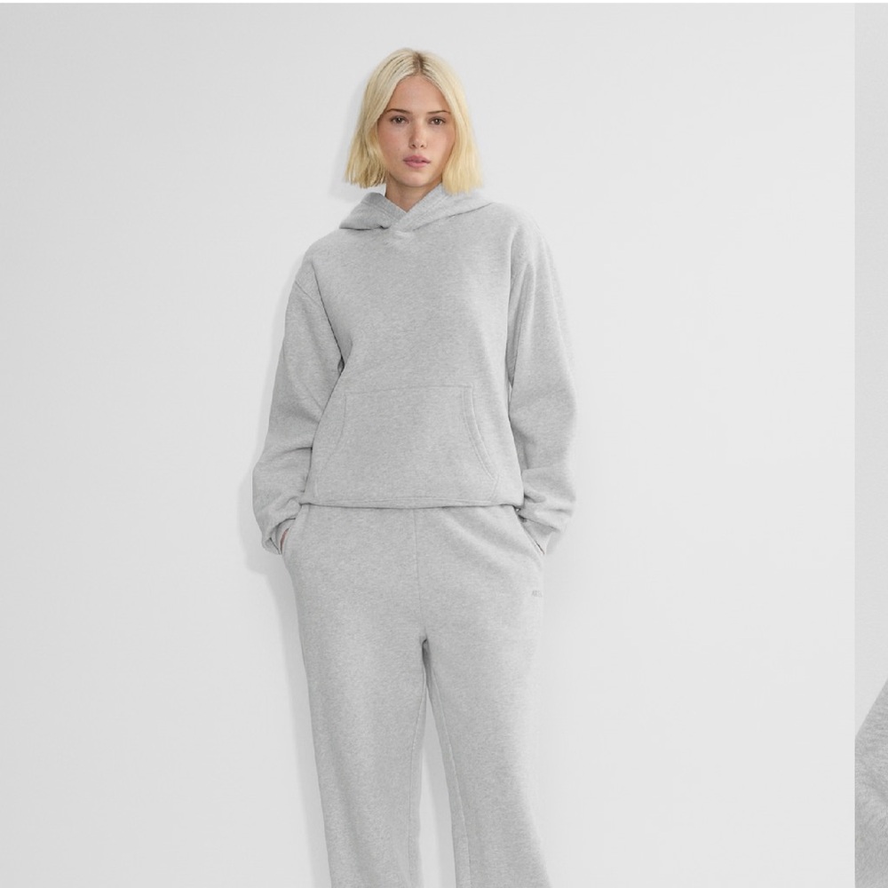 NWT Aritzia cozy fleece perfect hoodie - Heather chrome